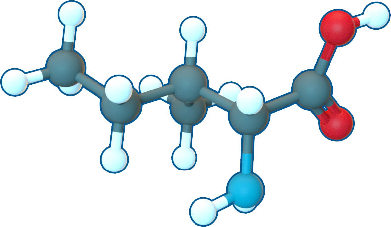 Image of L-Isoleucine | C6H13NO2 | Supreme Pharmatech